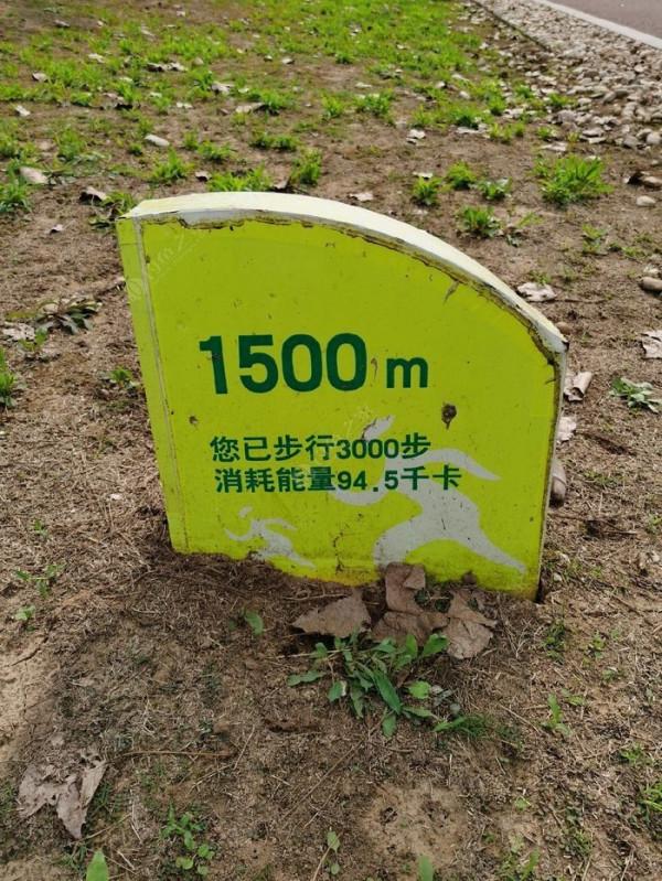 廢黃河是徹底廢的了