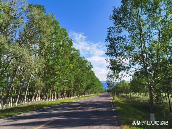 漢EV自駕新疆伊犁,探訪昭蘇夏塔絲綢絲路古道溼地公園 漢EV自駕新疆伊犁,探訪昭蘇夏塔絲綢絲路古道溼地公園