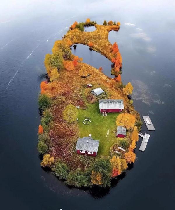 劈甲滅丁案例分析