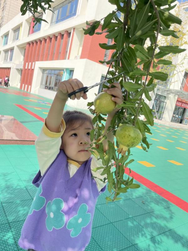 快樂採摘 收穫滿滿 快樂採摘 收穫滿滿