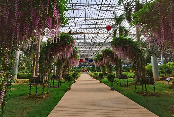 九州伊甸園智慧導覽功能服務為遊客帶來特色體驗