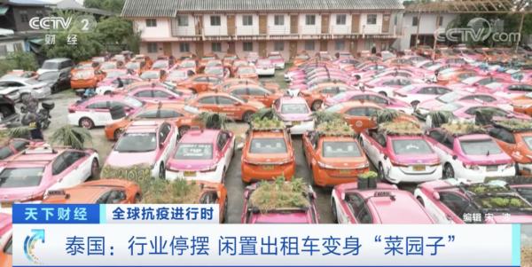大量出租車停運！交不起“份子錢”！這裡計程車公司在車頂種菜、養田蛙維持生計...