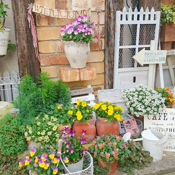 打造一座雜貨小花園,記錄一份隨性生活 打造一座雜貨小花園,記錄一份隨性生活