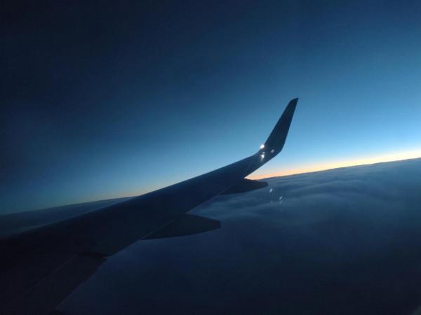 蓄謀已久的事，安排