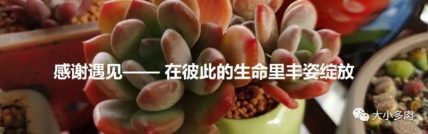 一年一度曬秋時,一年一度曬肉時 一年一度曬秋時,一年一度曬肉時