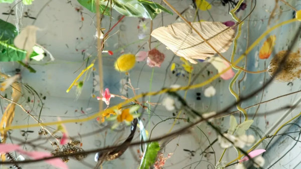 這種藝術雖然沒拿起畫筆,但更有意義 這種藝術雖然沒拿起畫筆,但更有意義