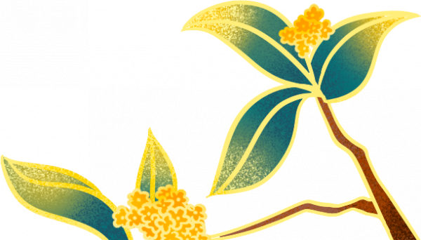 【多彩文旅】明日重陽,九九豔陽天,陪父母賞名泉,承傳統敬老風! 【多彩文旅】明日重陽,九九豔陽天,陪父母賞名泉,承傳統敬老風!