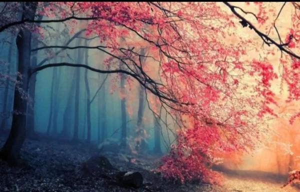 鄉土作家袁炳綱散文《九娘和九爸》，一個讓人刻骨銘心的愛情故事