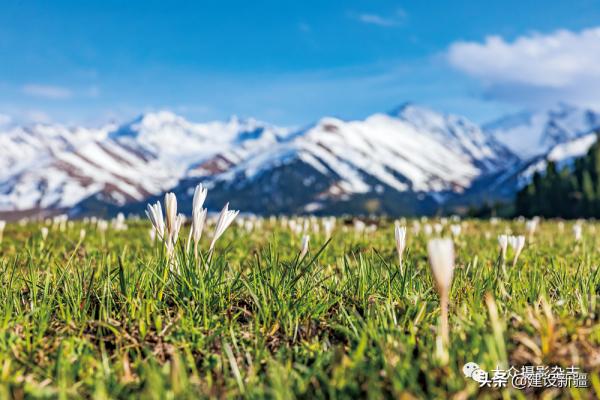 發現新疆之重 發現新疆之重