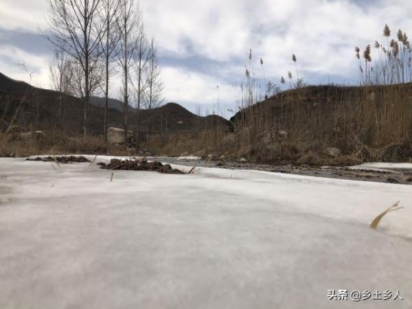 明日立冬,有啥說法?俗語:“立冬送營室,老牛不相送”,啥意思 明日立冬,有啥說法?俗語:“立冬送營室,老牛不相送”,啥意思