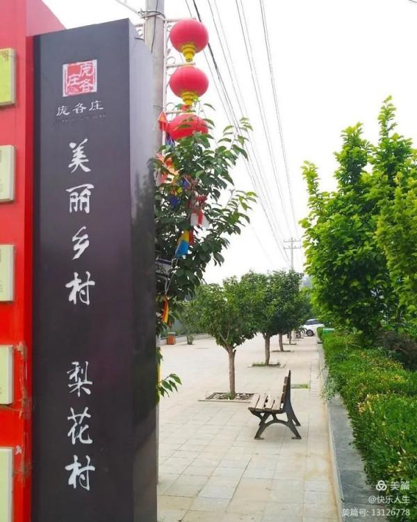 鐵兵遊記｜永定河畔萬畝梨花香雪海