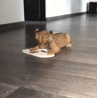 眼力測試！如果你從圖中看到的是一群人，那趕緊去看醫生吧