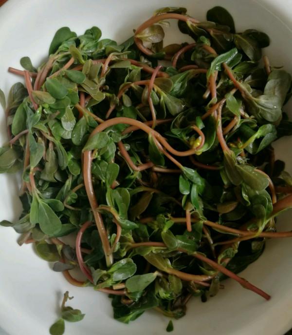 38種路邊的野菜，常常見到但不一定都認識，看你吃過幾種？