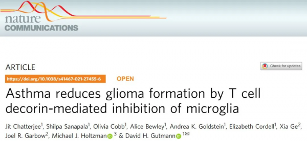 哮喘還有“好處”？新研究揭示利用哮喘抑制腦部腫瘤的新方法