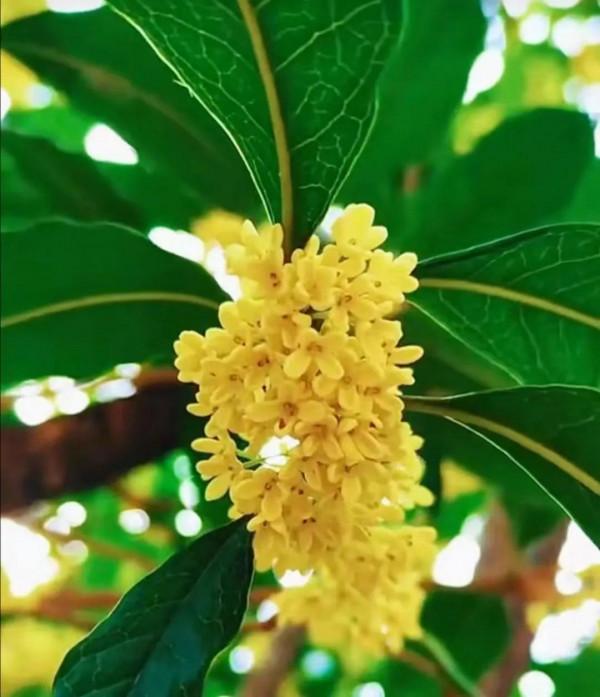 放開三胎,世相百態 放開三胎,世相百態