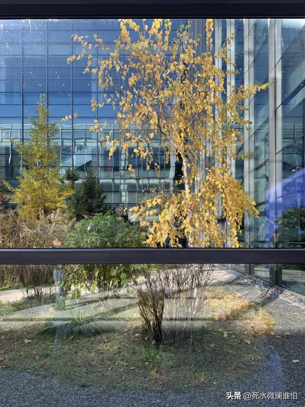 鯤鵬計算產業生態科技展 鯤鵬計算產業生態科技展