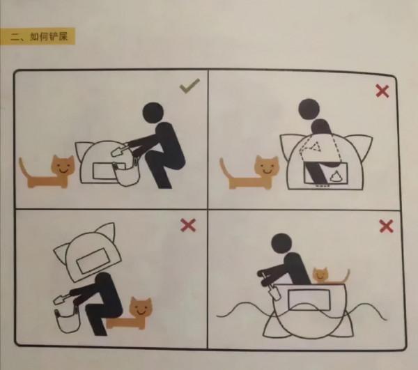 原來這才是養貓的正確方式！我一直都搞錯了