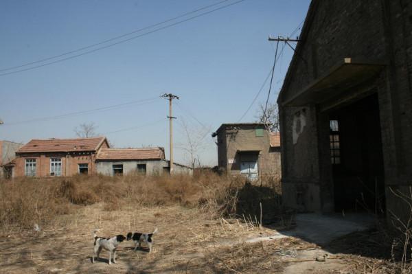 桓臺的";臺";今猶在,看看它是什麼樣? 桓臺的";臺";今猶在,看看它是什麼樣?