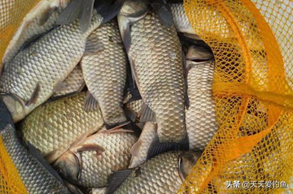 冬季釣魚，天氣是根本，這4種天氣魚不咬鉤，空軍機率十之八九