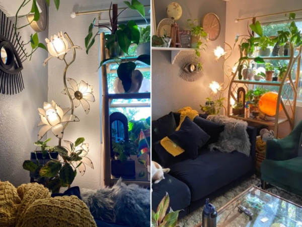 網友們在舊貨店發現的各種寶貝！一個比一個驚喜哇…