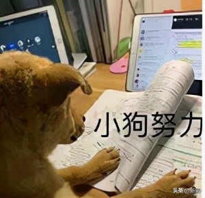 世界各國王室中，為什麼只有英國王室越來越醜？