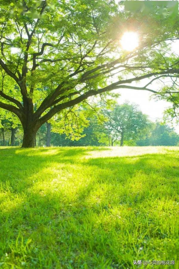 漸進式肌肉放鬆操作步驟 漸進式肌肉放鬆操作步驟