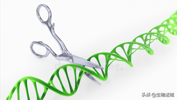 能夠“逆天改命”的基因剪刀——修改生命天書 能夠“逆天改命”的基因剪刀——修改生命天書