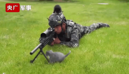 貓咪賴上兵哥哥？這畫面，糖分超標了吧