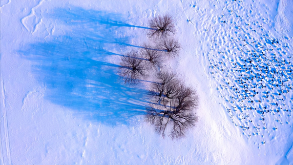 冬季的內蒙古草原有多美,去過的遊客講:一白遮百醜同樣適合那裡 冬季的內蒙古草原有多美,去過的遊客講:一白遮百醜同樣適合那裡