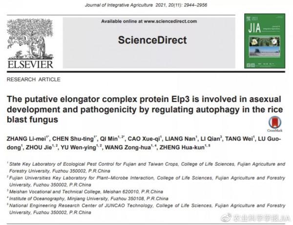 稻瘟病菌延伸複合體蛋白PoElp3調控自噬和致病性