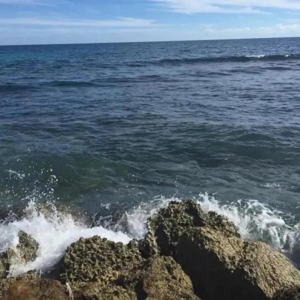 ＃金粉社群＃這是什麼大頭龍蝦！傳說中神秘的“加勒比海”