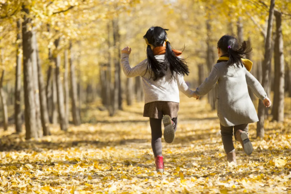 品讀 | 看小孩子走路