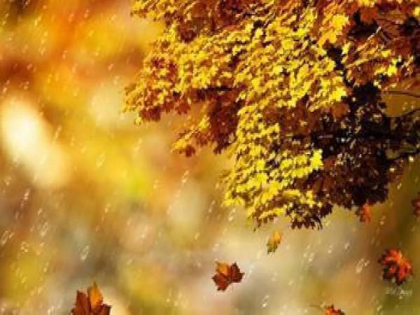 中國古詩中的“雨”（三）（續上）