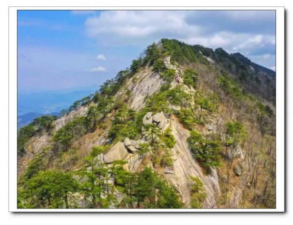 大別放歌～風光品位