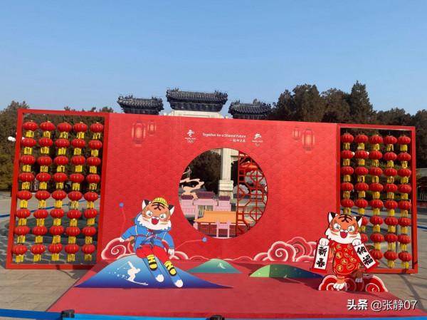 正月裡賞花過大年 正月裡賞花過大年