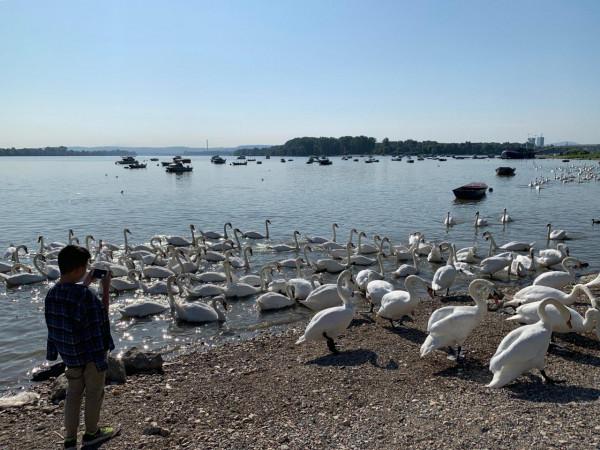 2019暑假塞爾維亞、波黑之旅（2）