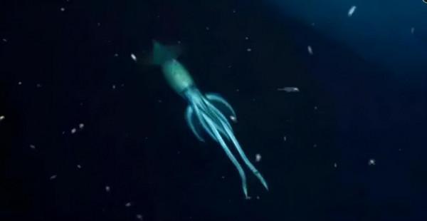 南極的深處究竟是什麼樣的？