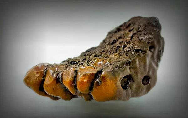 高價成交的66方奇石欣賞