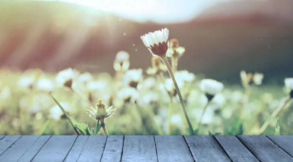 夜讀丨愛自己的四句悄悄話