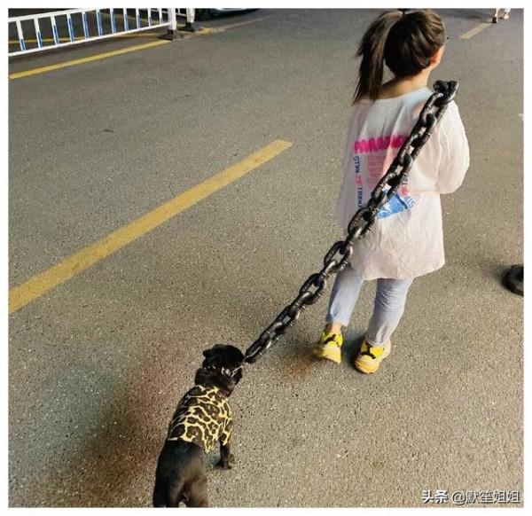 主人交代好友幫買條狗鏈，一再強調結實點，收到後竟發現形似鐵鏈