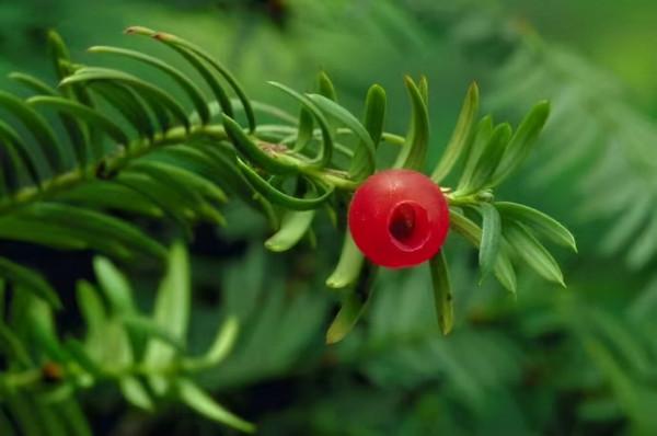 人生感悟：對自己越狠，越幸運