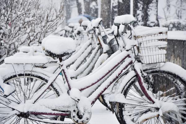 “秋冬養陰”是養什麼？