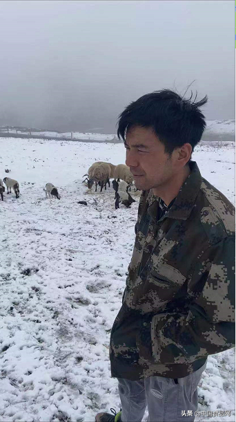 馬曉明和青海犛牛肉：踏實做人，本分賣肉