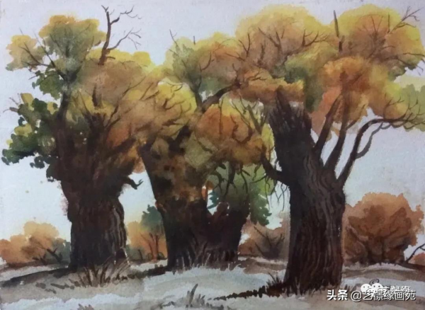 從額濟納胡楊到契斯恰可夫茶莊 從額濟納胡楊到契斯恰可夫茶莊