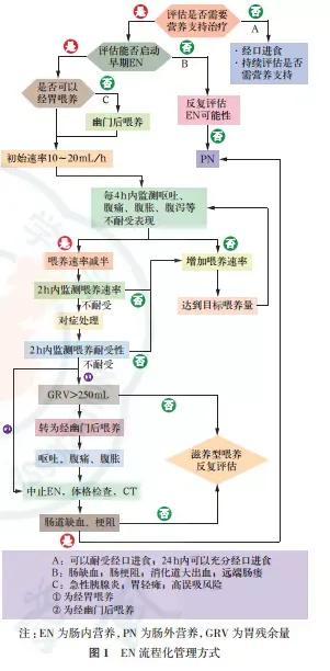 危重症患者早期腸內營養共識解讀 危重症患者早期腸內營養共識解讀
