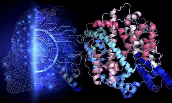 2021年十大科技突破，為什麼AI預測蛋白質結構會列在榜首？