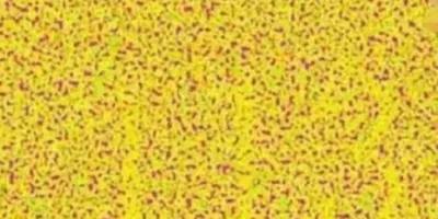 挑戰飛行員裸眼視力測試 挑戰飛行員裸眼視力測試