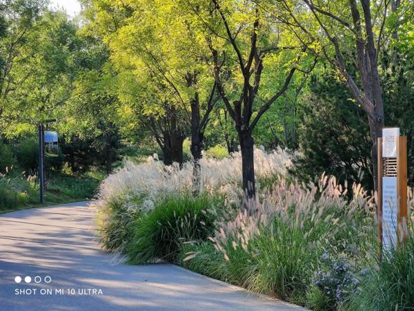 預算不足3000，能否買到拍照好的手機？小米這款昔日旗艦可考慮
