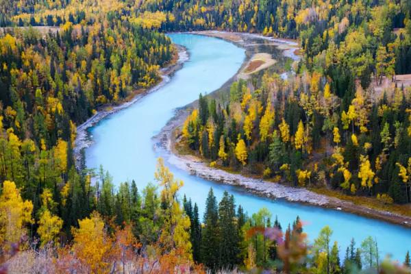 秋天的新疆，美成了桌布