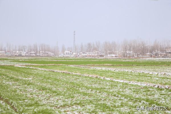 什麼是“雙拉尼娜年”？最冷會是在幾月？會對農業生產造成影響嗎